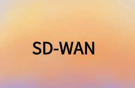 SD-WAN提供安全、靈活且經(jīng)濟(jì)高效的解決方案