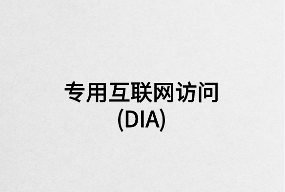 專用互聯(lián)網(wǎng)訪問(wèn)(DIA)