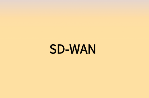 思科 SD-WAN