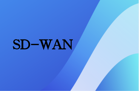 廣域網(wǎng)SD-WAN轉(zhuǎn)型建設(shè)