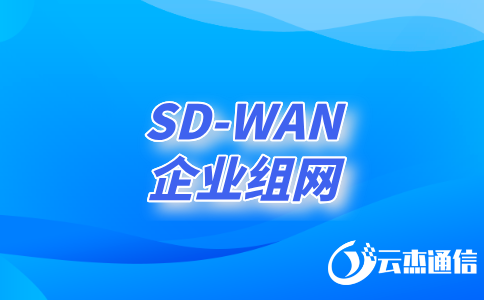 深入了解領先的SD-WAN服務商及其創(chuàng)新解決方案