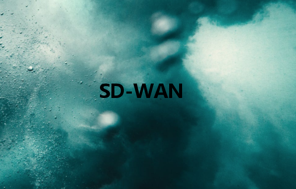 SD-WAN：使通過公共網(wǎng)絡(luò)傳輸?shù)臄?shù)據(jù)像專用網(wǎng)絡(luò)一樣安全